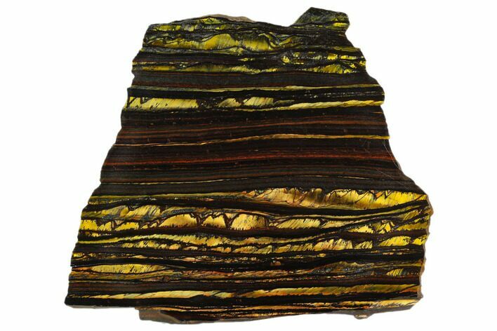Polished Tiger Iron Stromatolite - Billion Years #129288
